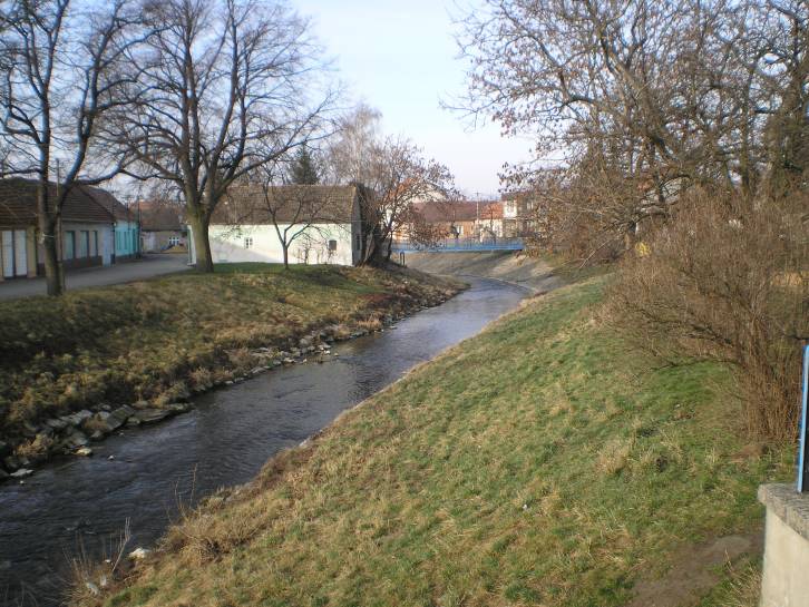 P2230008.JPG